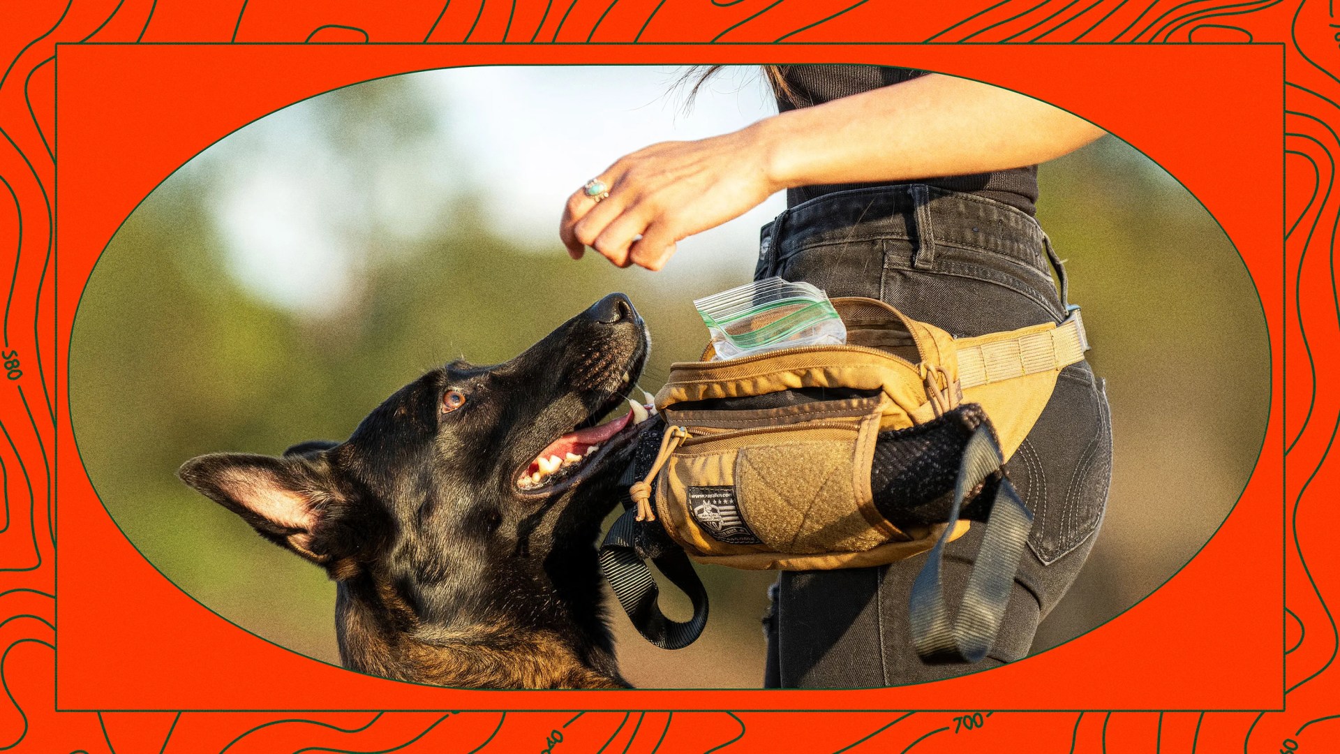 woman feeding dog a treat from her Ray Allen Manufacturing Dog Trainer Fanny Pack