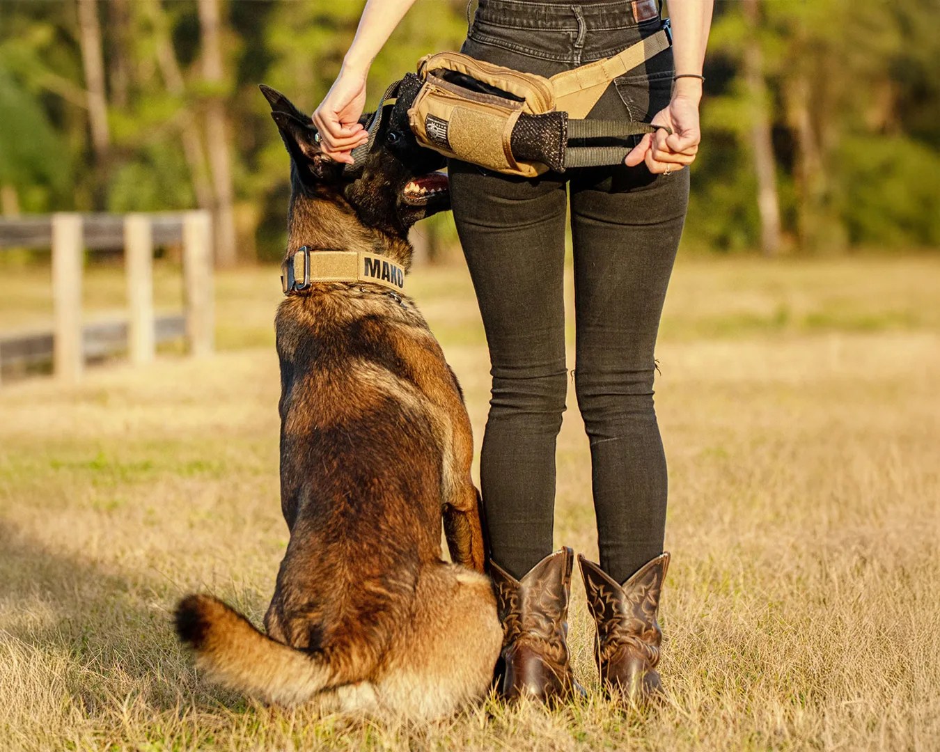 woman standing next to her dog wearing a her Ray Allen Manufacturing Dog Trainer Fanny Pack