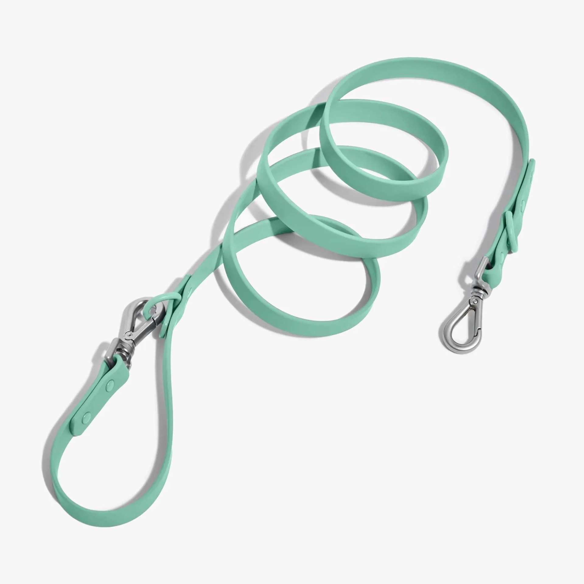 Wild One Dog Leash