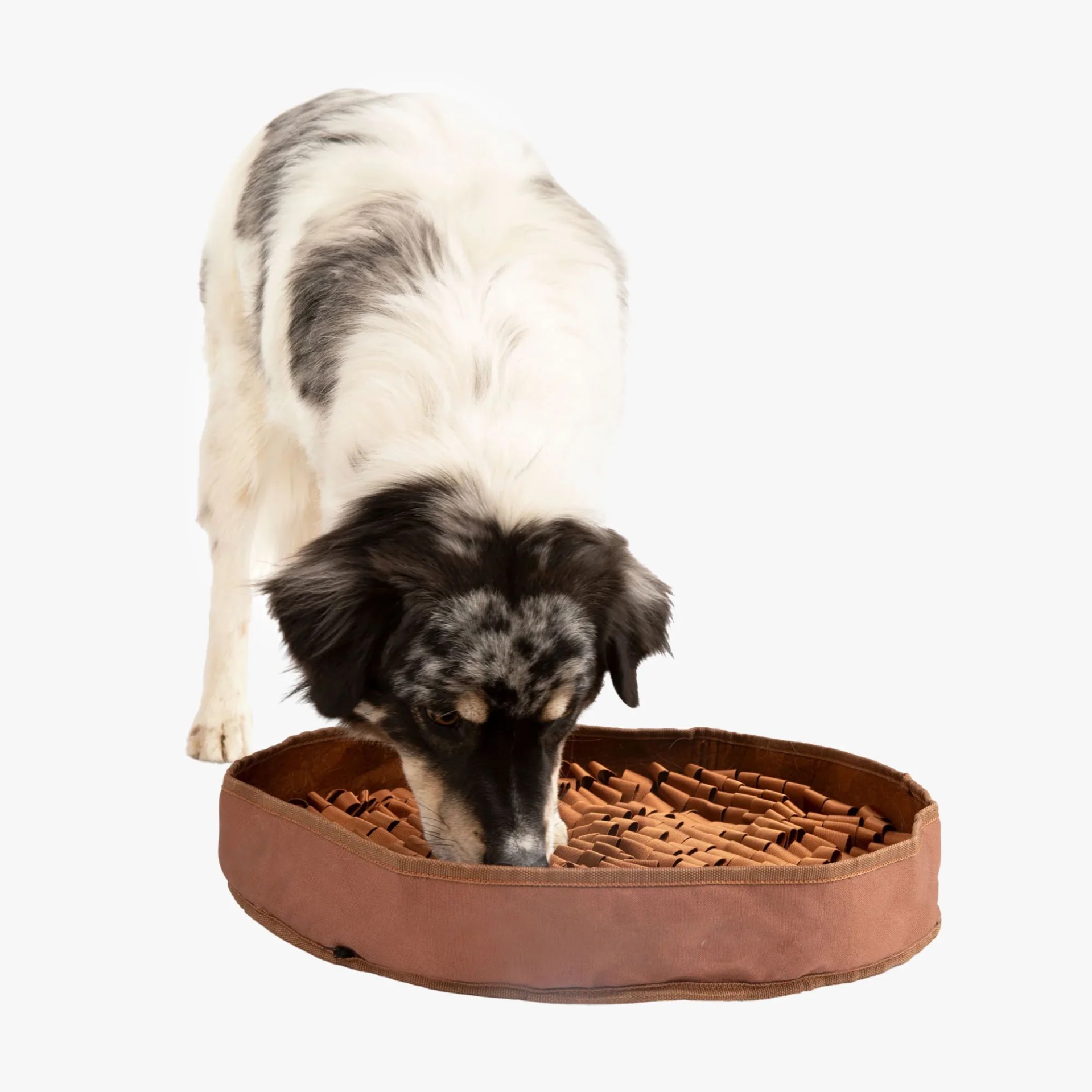 Reggie Stimulating Feeder Mat