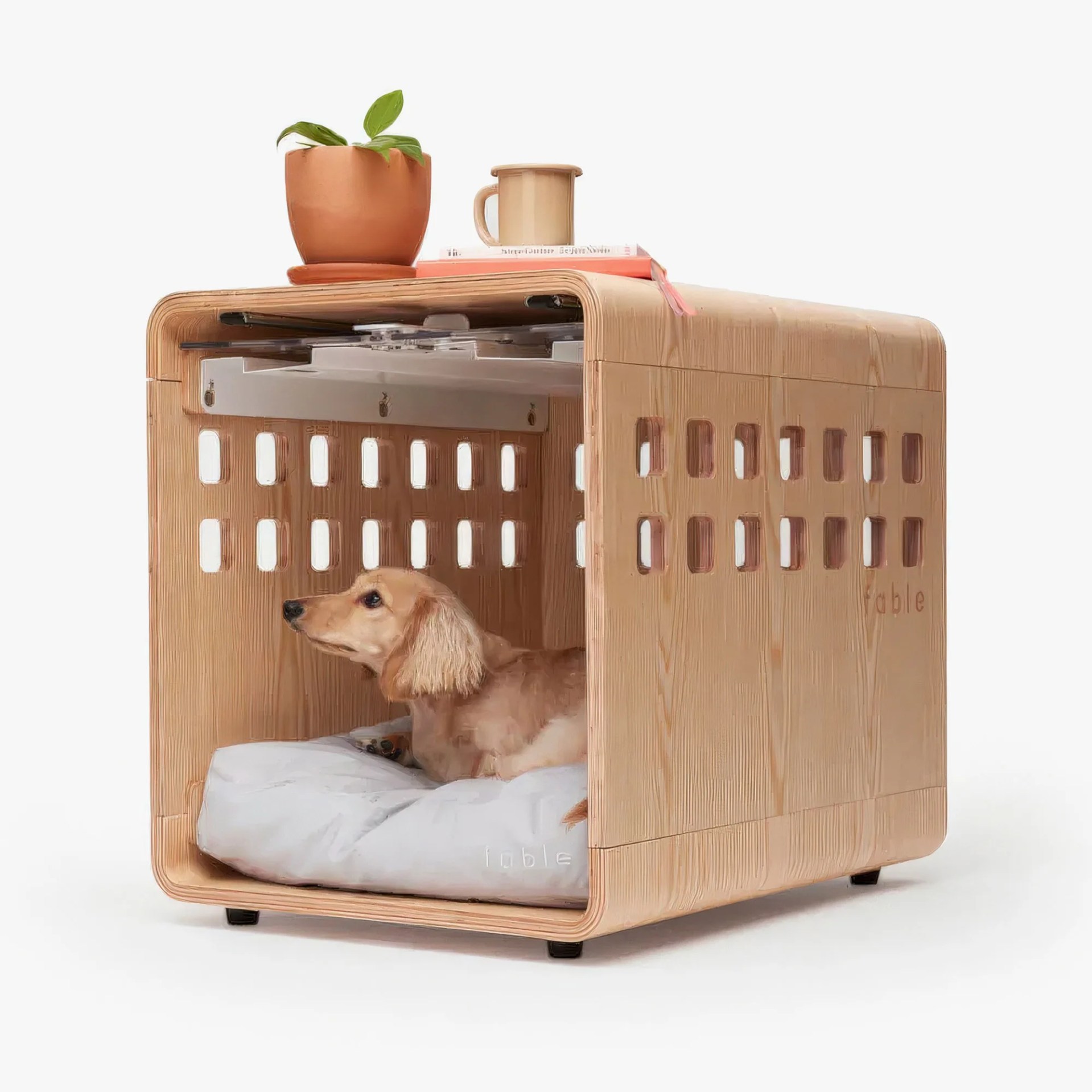 Dog sitting inside Fable Crate