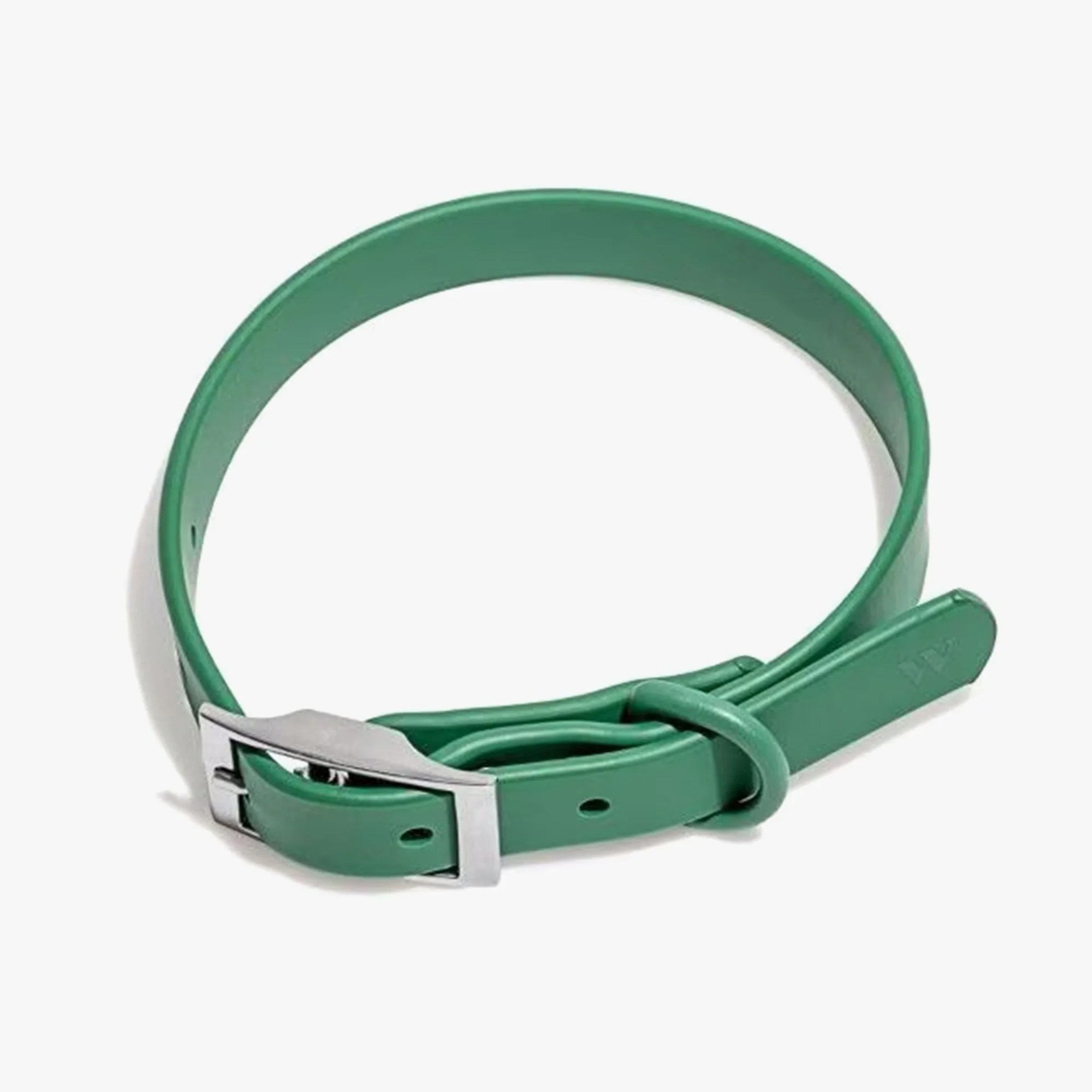 Wild One Adjustable Waterproof Flex-Poly Coated Nylon Dog Collar in Spruce