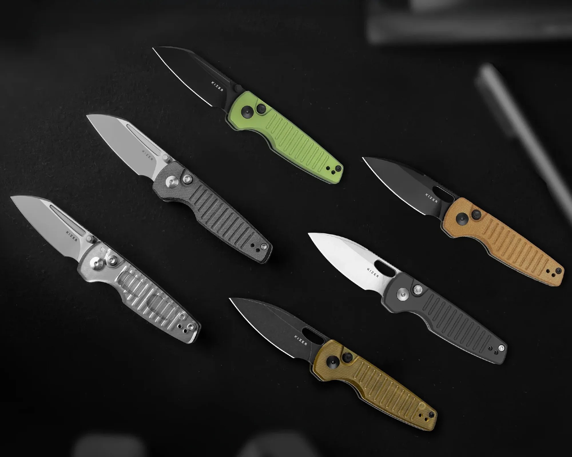 Kizer Parakeet family