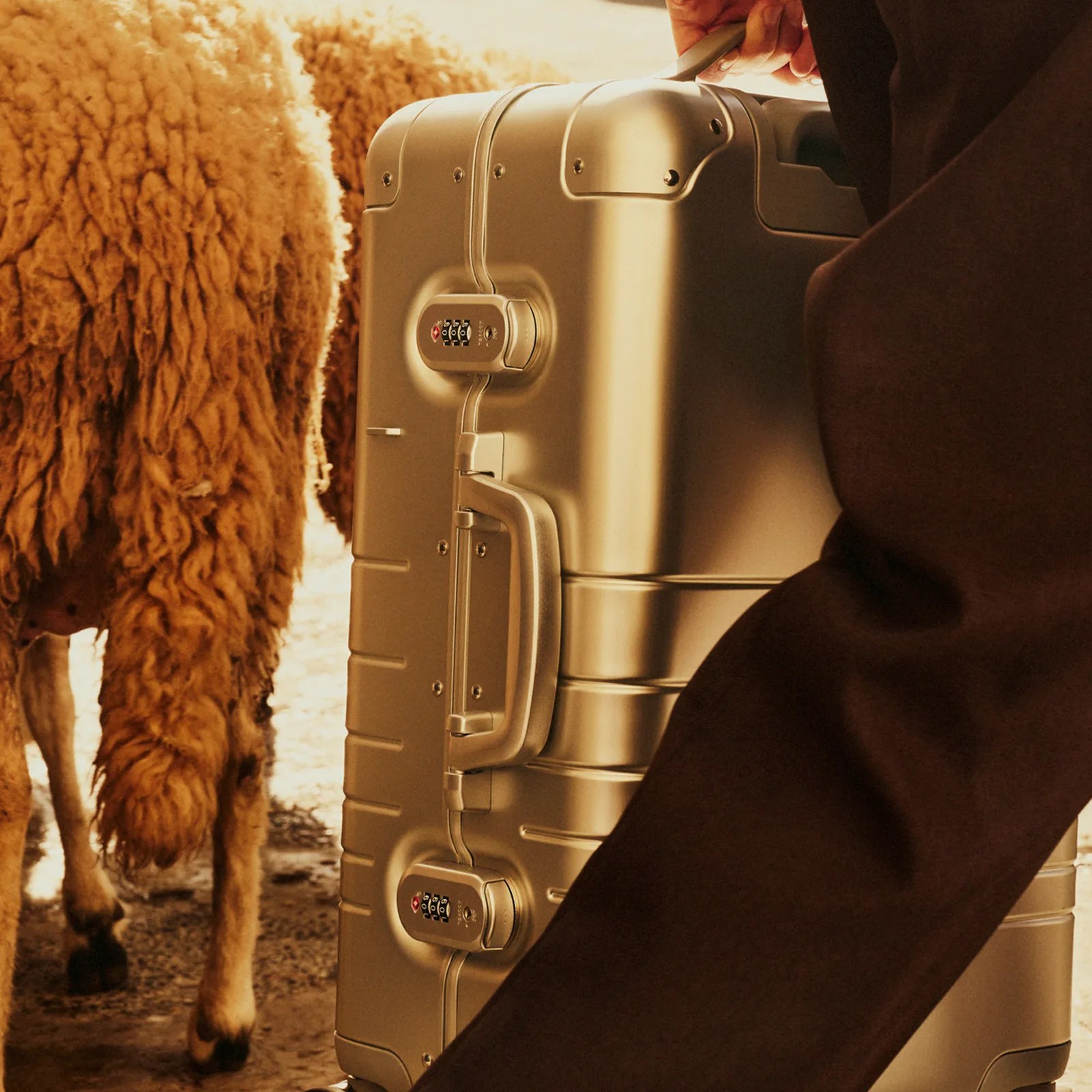 A Monos Aluminum Suitcase being carried up right by hand by a person wearing dark brown pants. The person is shown from behind and from the wait down. The back of a sheep is shown next to the shiny luggage piece standing in the street. 