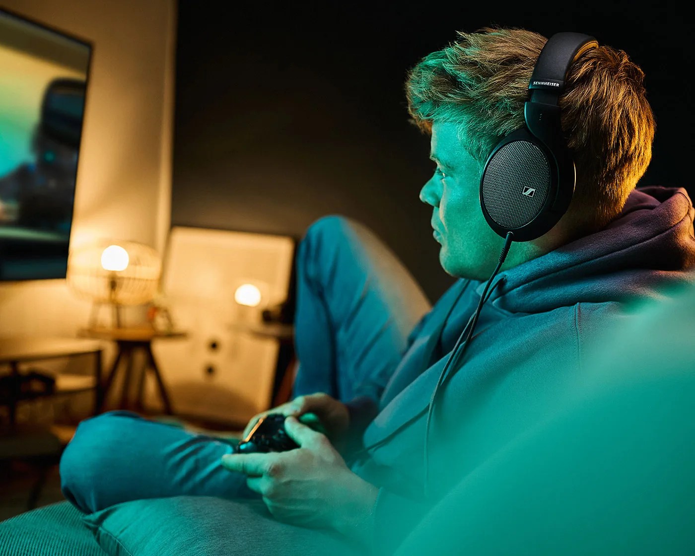 Sennheiser HD 550 headphones