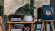 WiiM Vibelink Amp