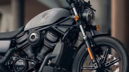 harley davidson nightster macro