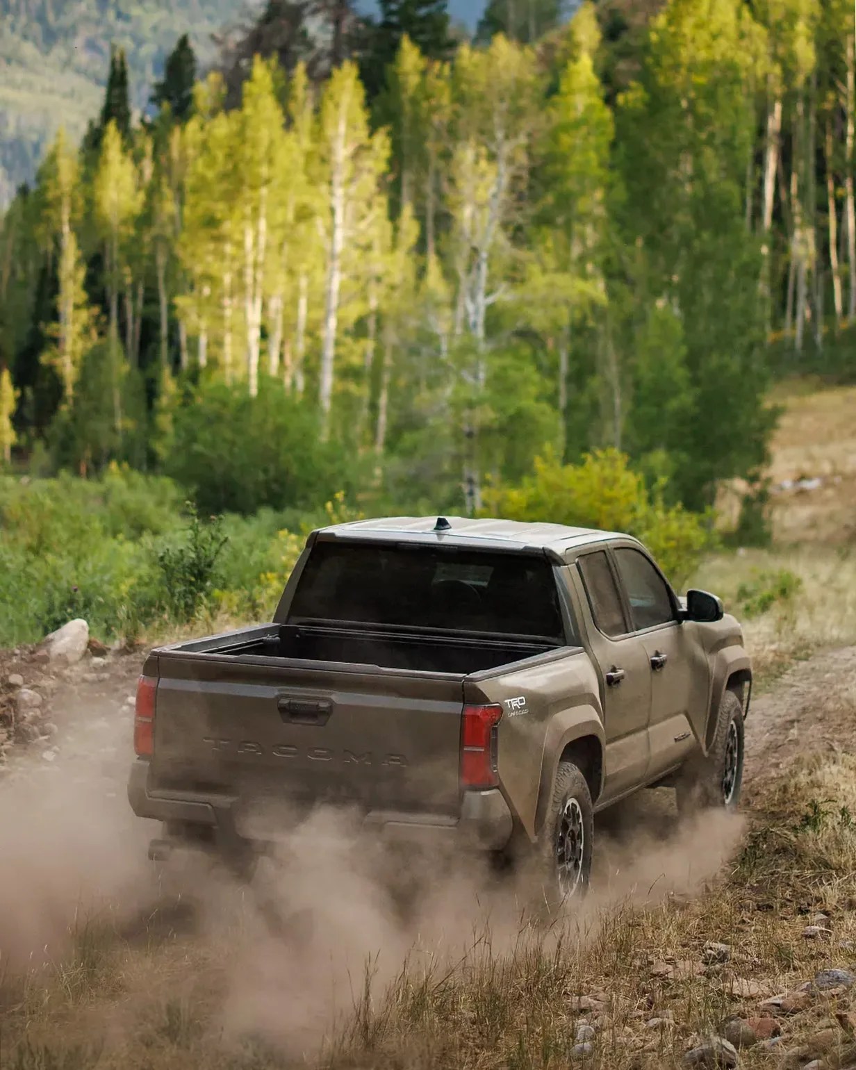 Toyota Tacoma truck