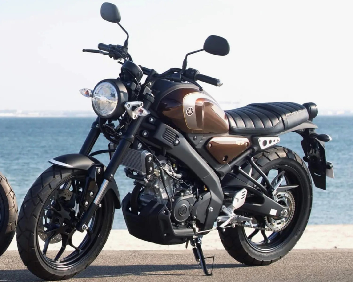 yamaha xsr125 beauty berry