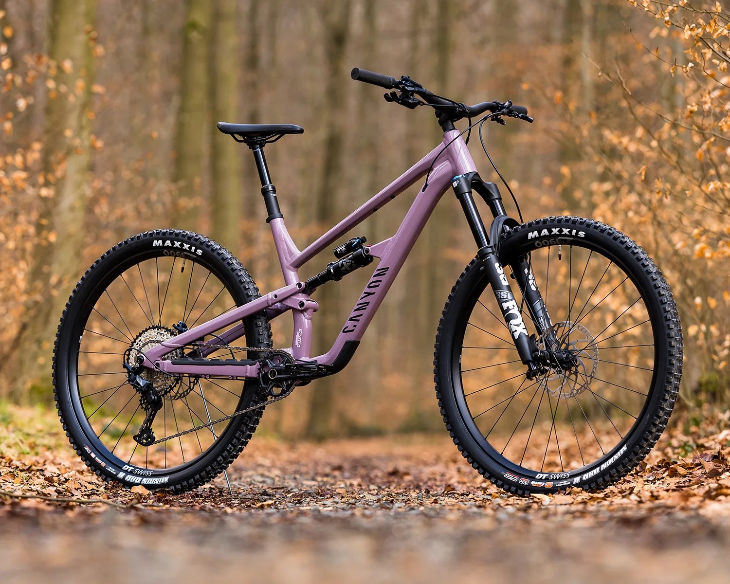canyon spectral 6 element beauty