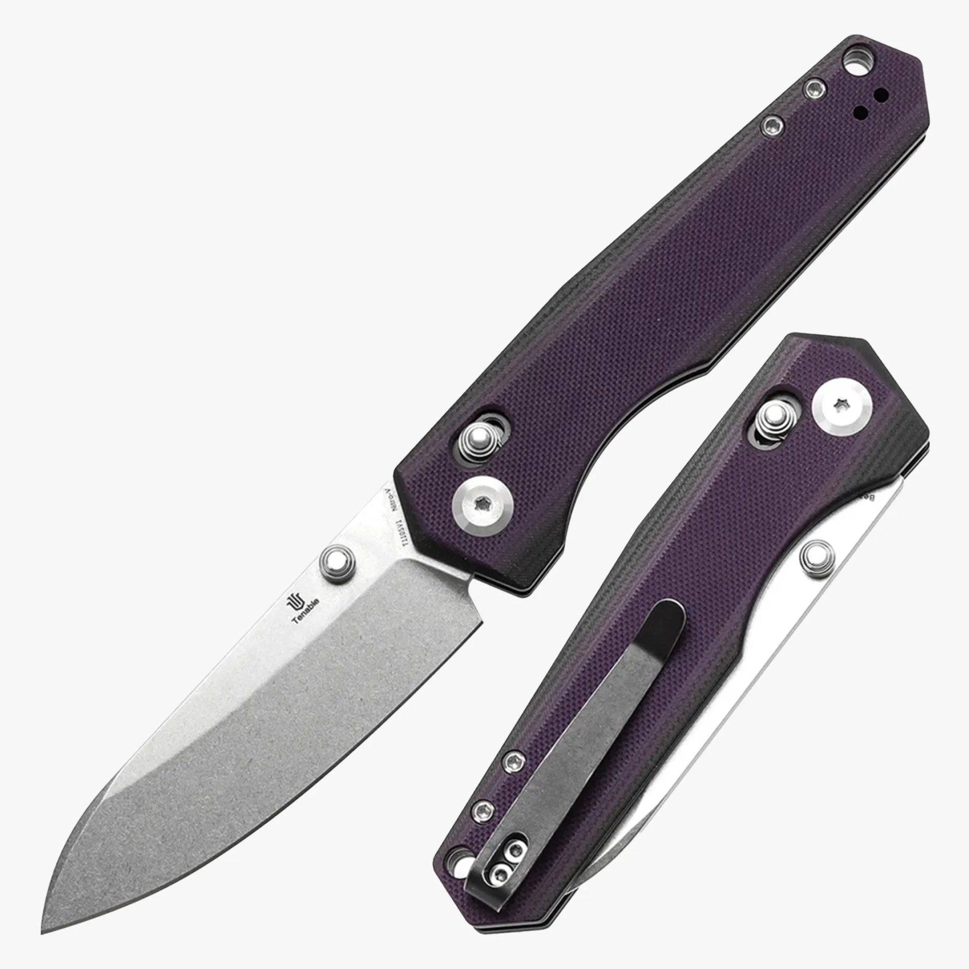 tenable beaver embed