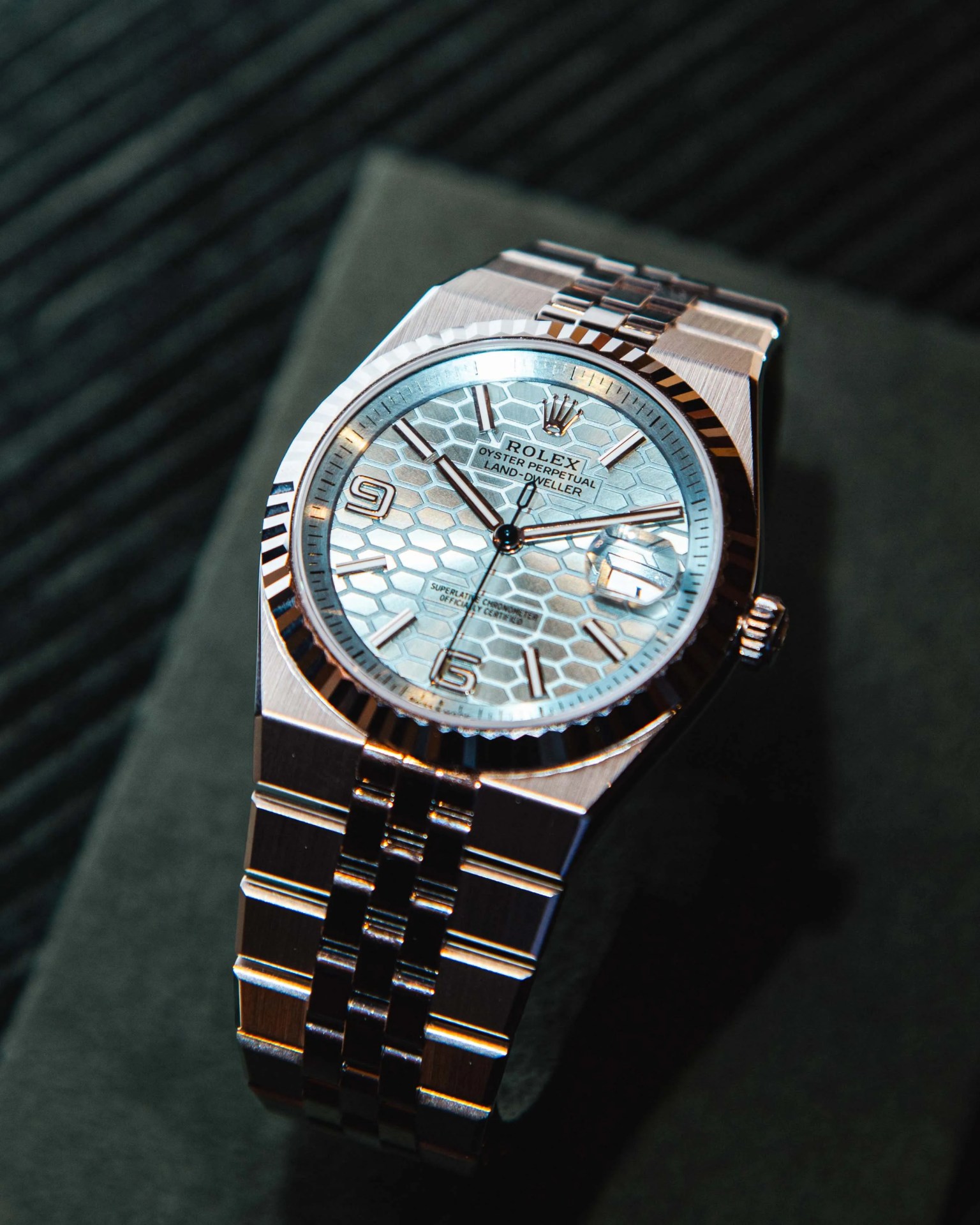 rolex land-dweller in platinum