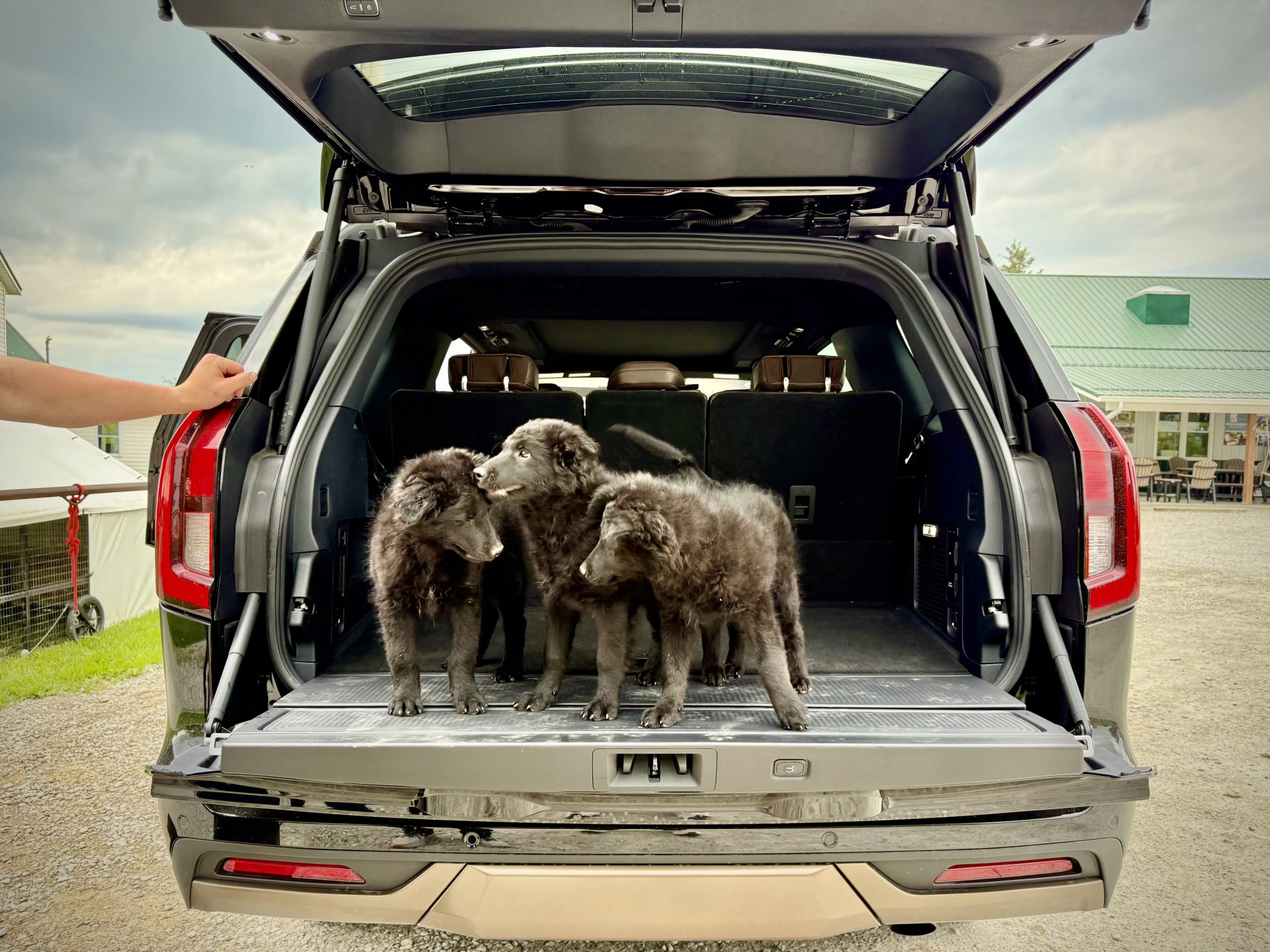 The Expedition's new tailgate has a weight capacity of 500 lbs, which is more than sufficient to bring home a trunk full of puppies if you happen to come across some at a farmstand.