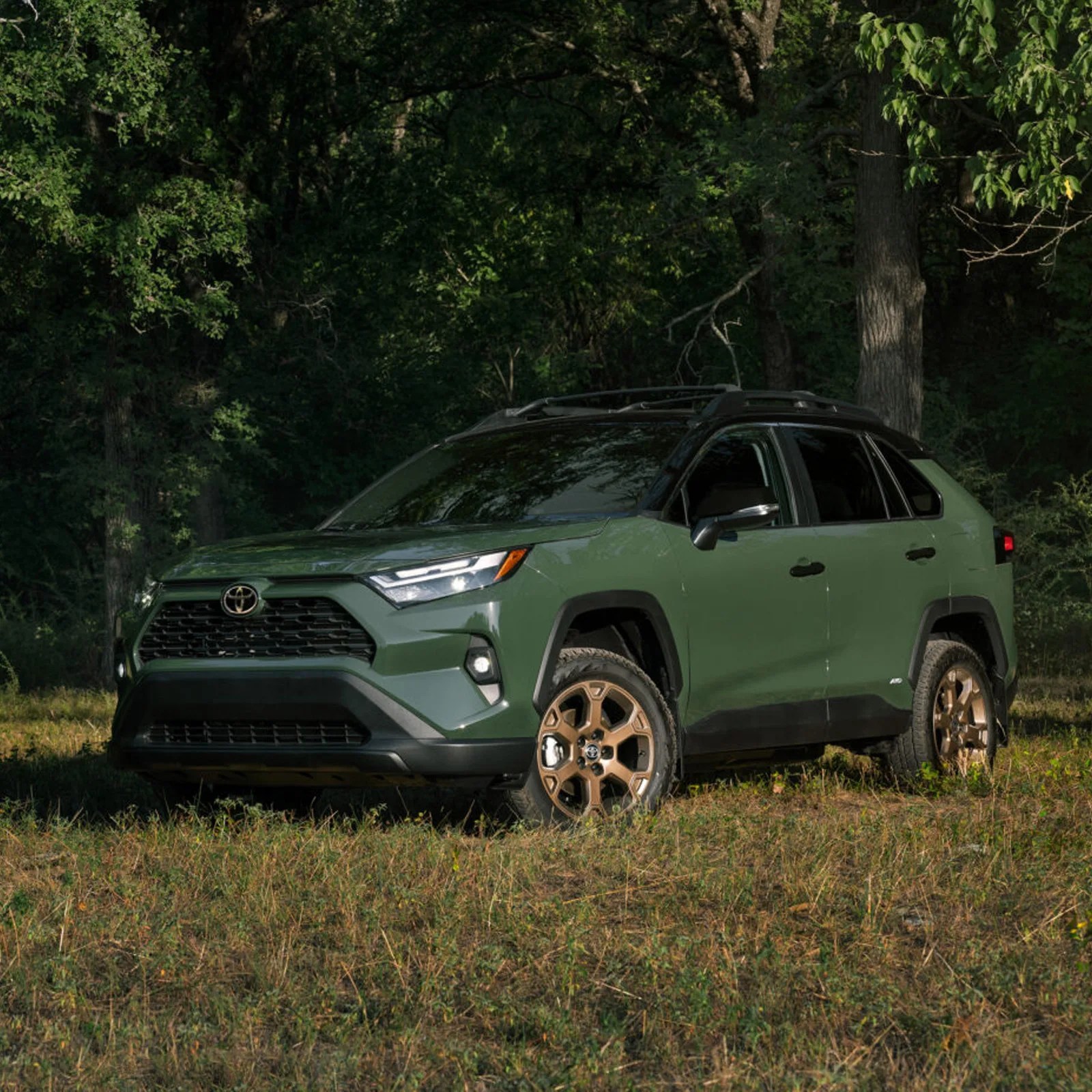 The 2025 Toyota RAV4 Hybrid Woodland edition parked in a field in front of trees
