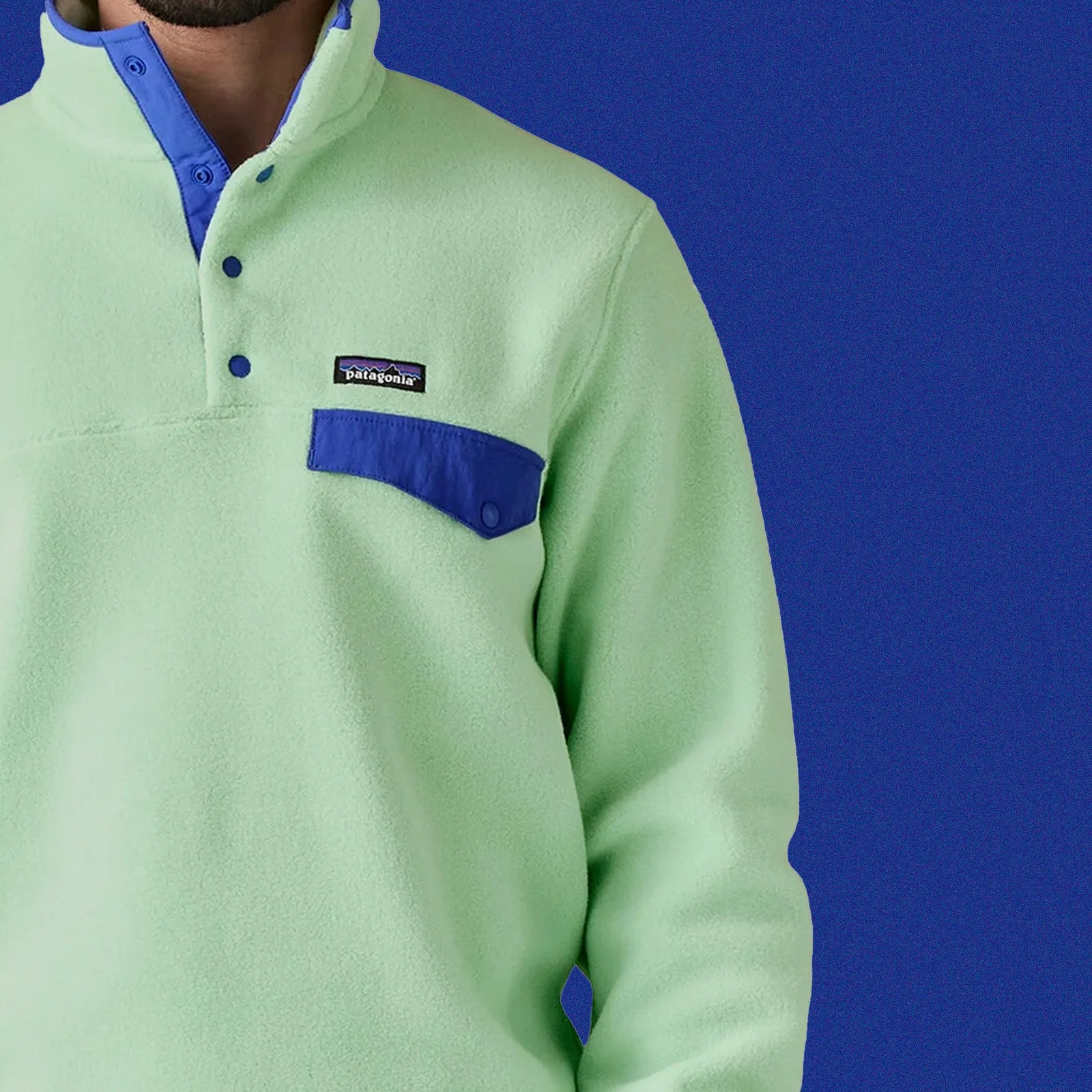 Patagonia Lightweight Synchilla Snap-T Fleece Pullover (Rinsed Green)