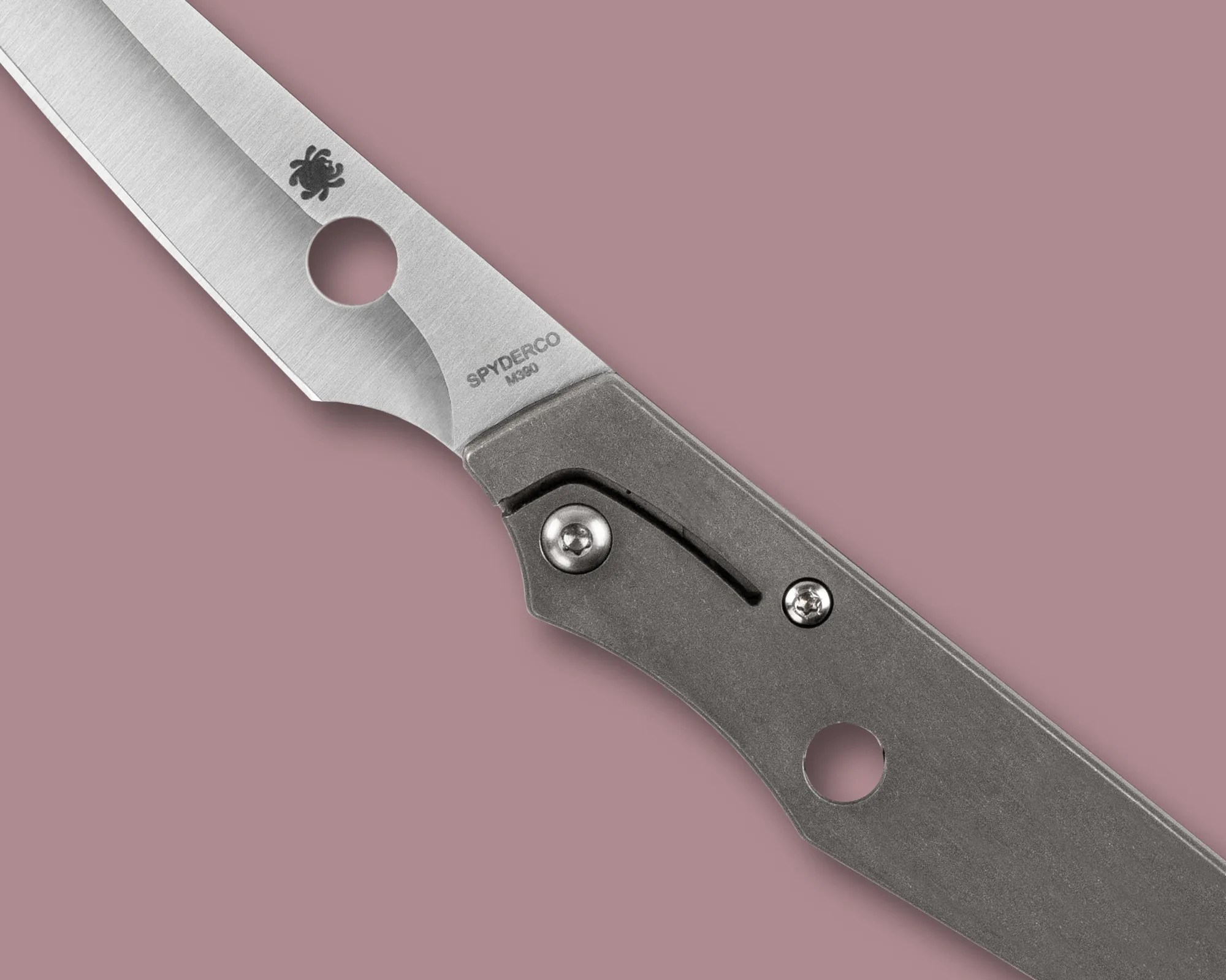 Spyderco Cobol EDC Knife pivot closeup
