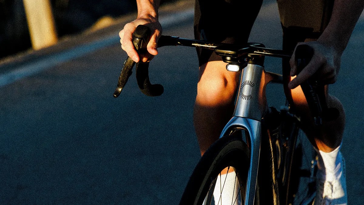 cannondale synapse macro