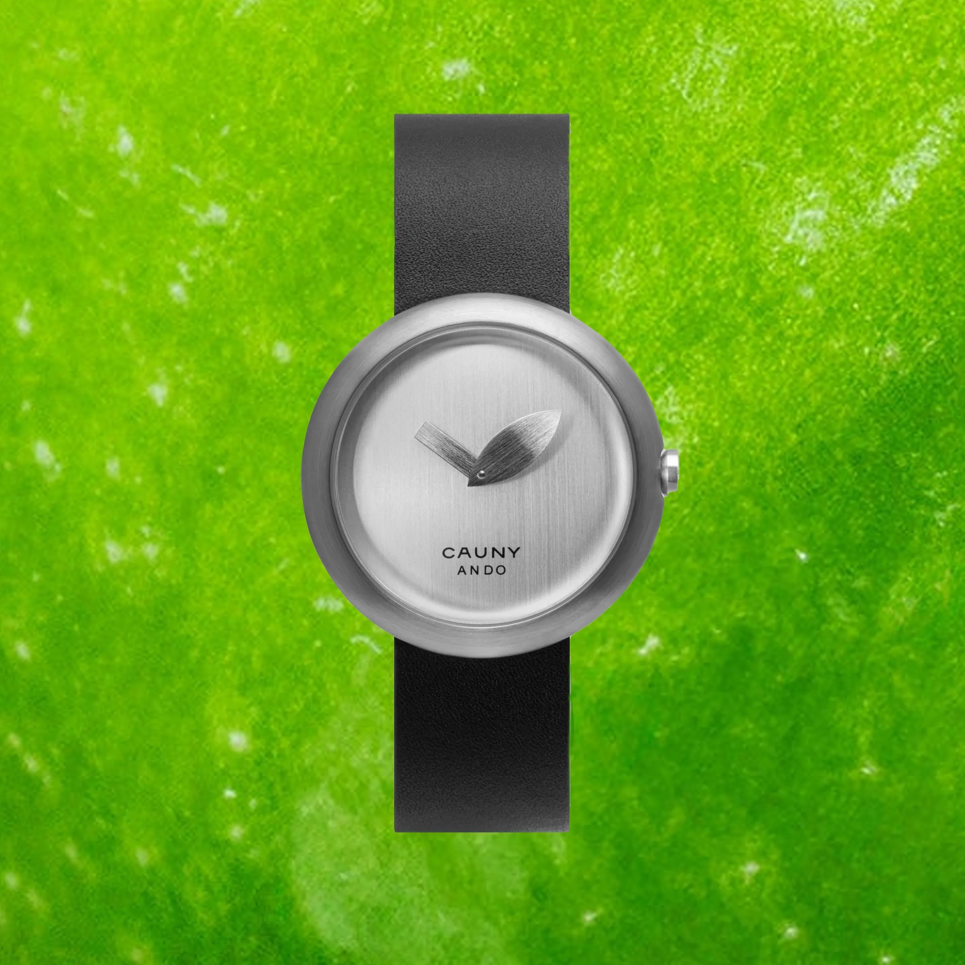 a steel Cauny apple shaped watch