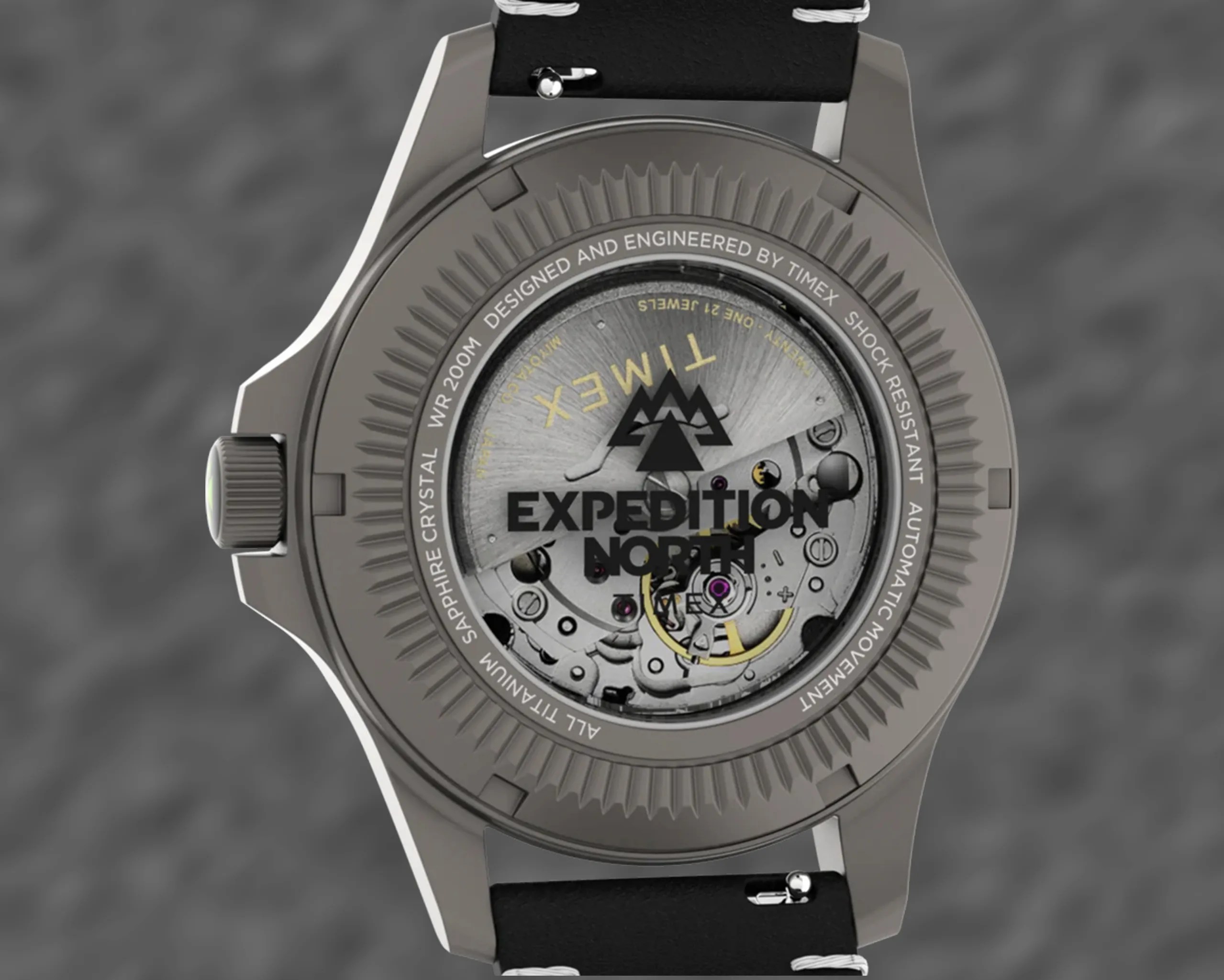 the back of a Timex field watch