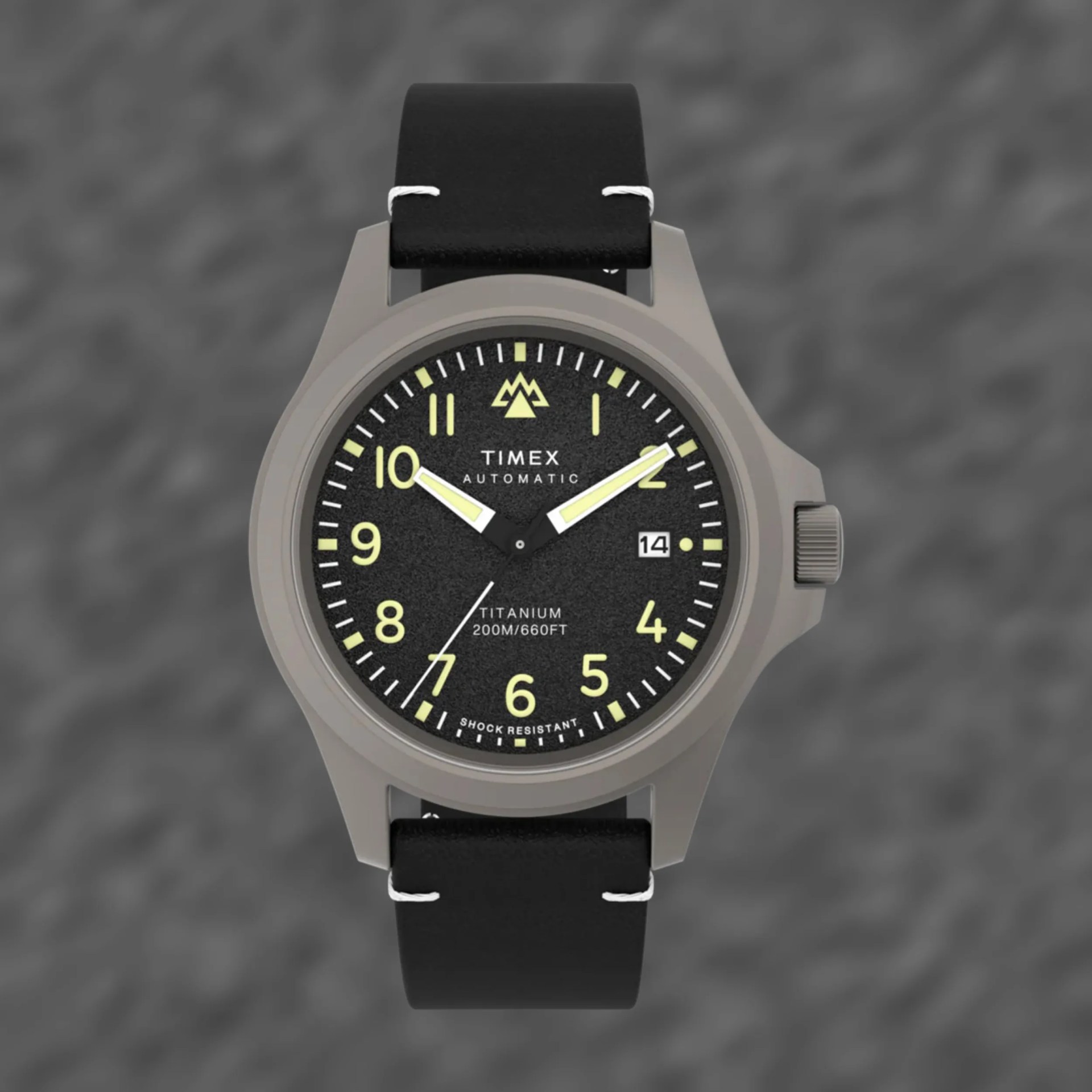 a Timex field watch