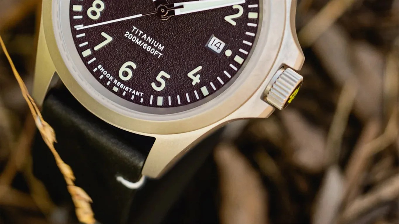 a Timex field watch