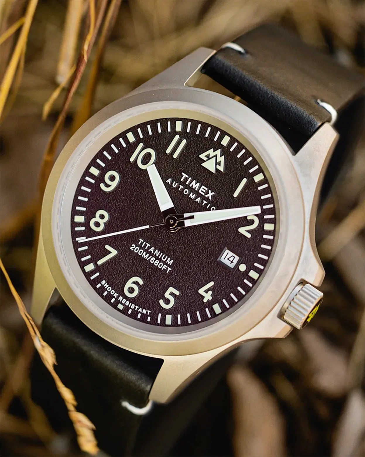 a Timex field watch