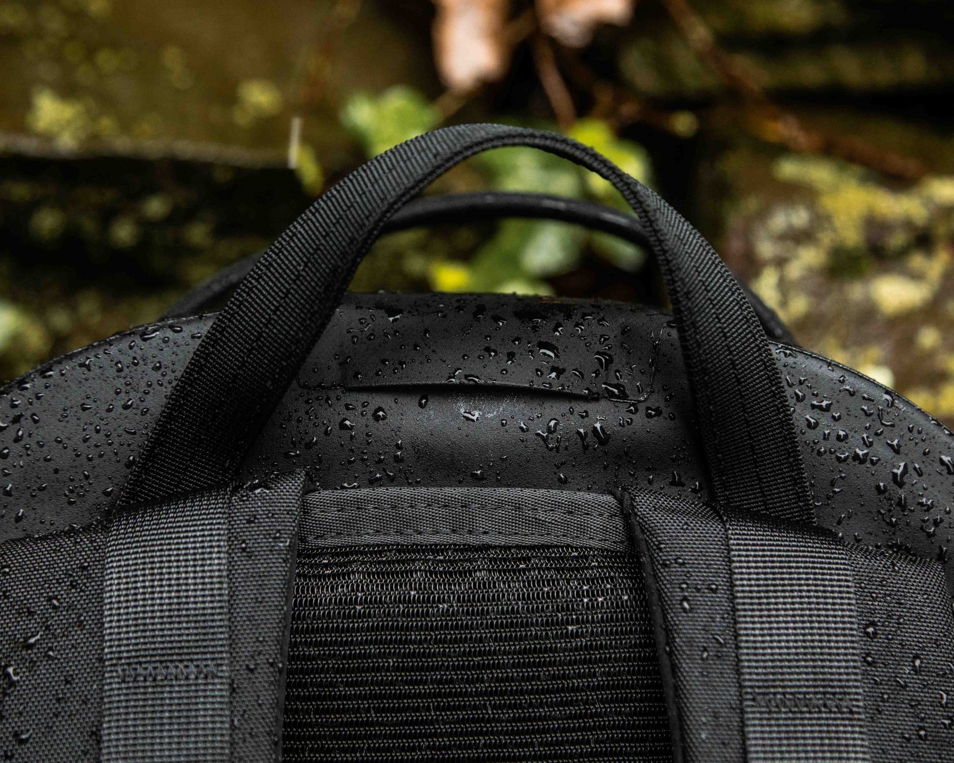 yeti cayo backpack