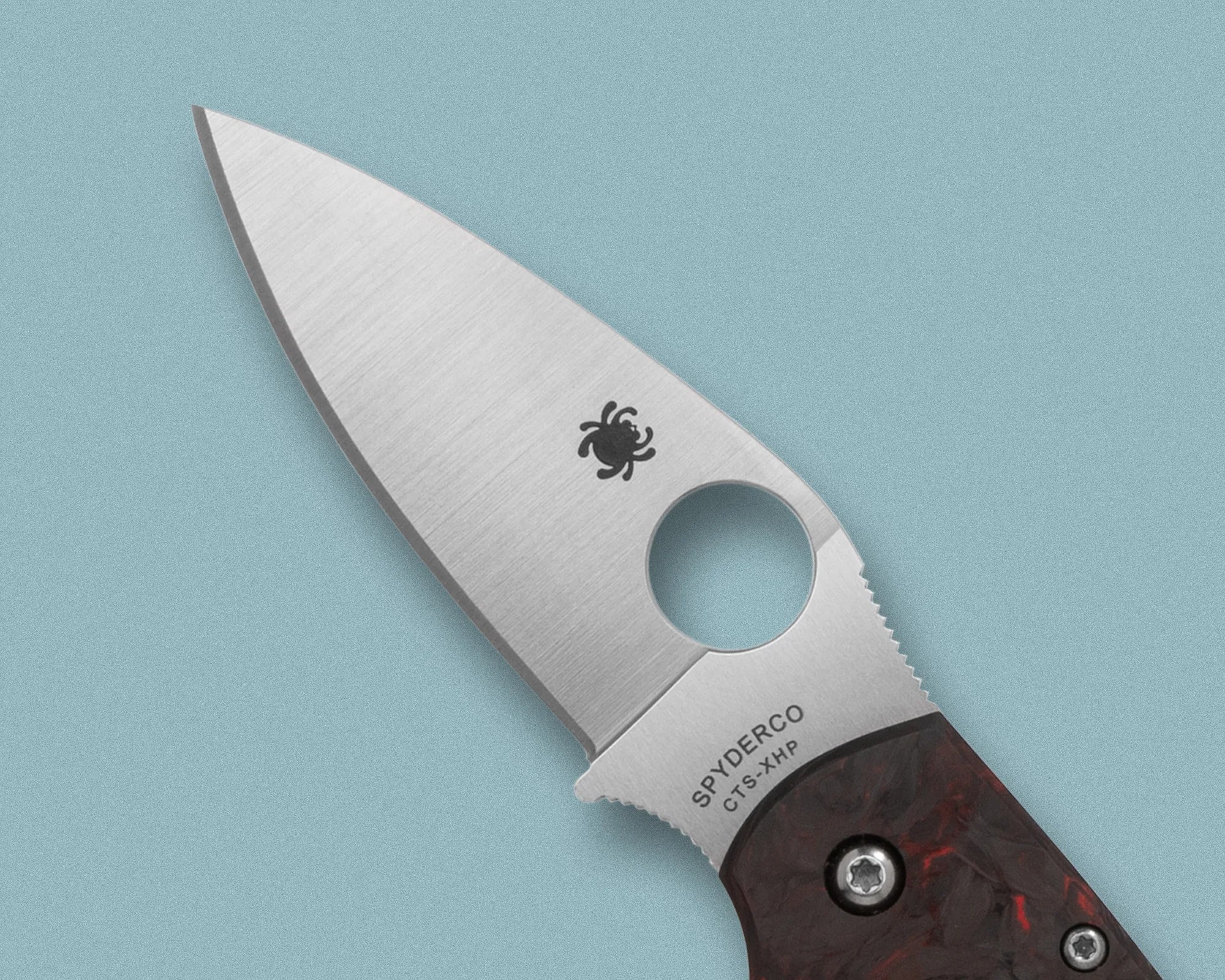Spyderco Chaparral Fatcarbon EDC Knife blade closeup
