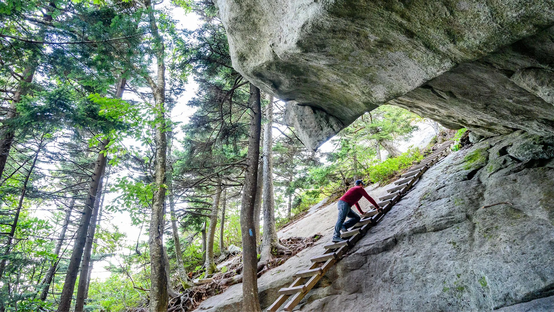 Macrae Peak Ladder Climbing at Grandfather Mountain