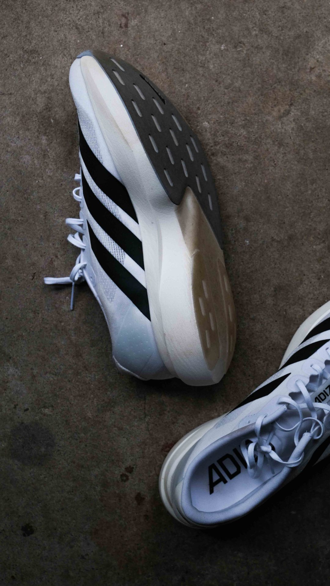 Adidas Evo SL