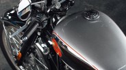 bsa goldstar 650 tank macro