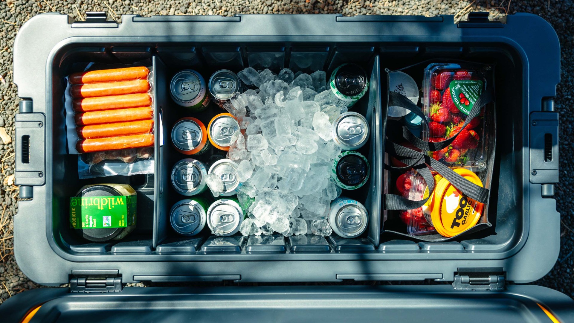 Dometic Recon cooler