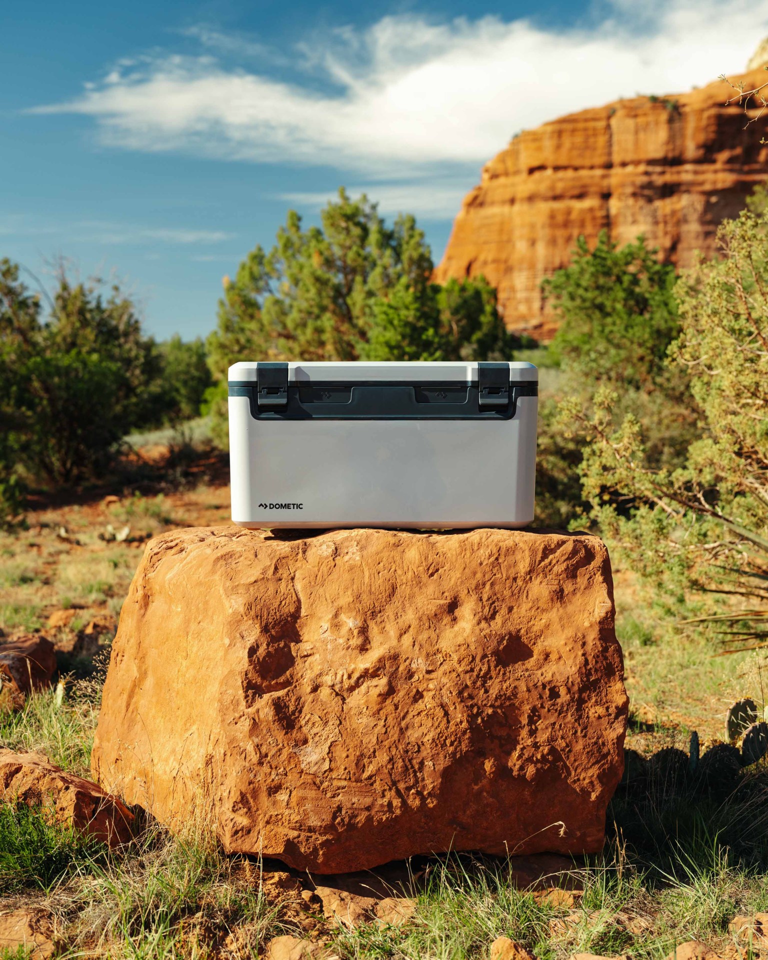 Dometic Recon cooler