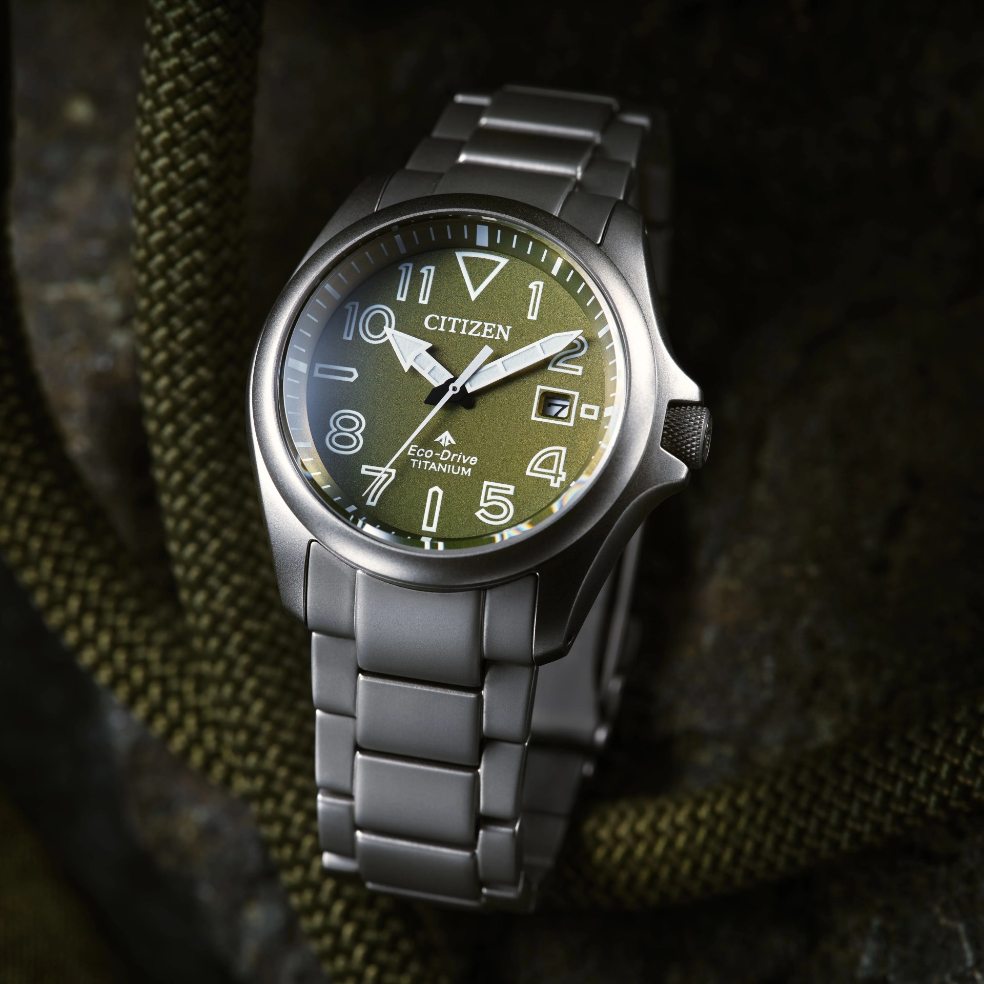 a citizen field watch