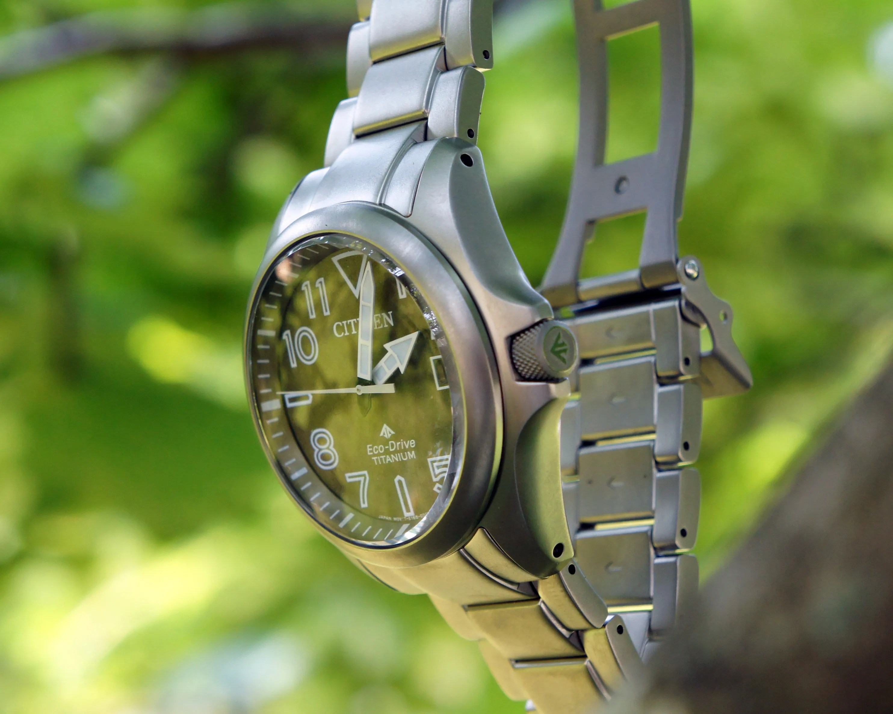 a Citizen watch hanging in a tree