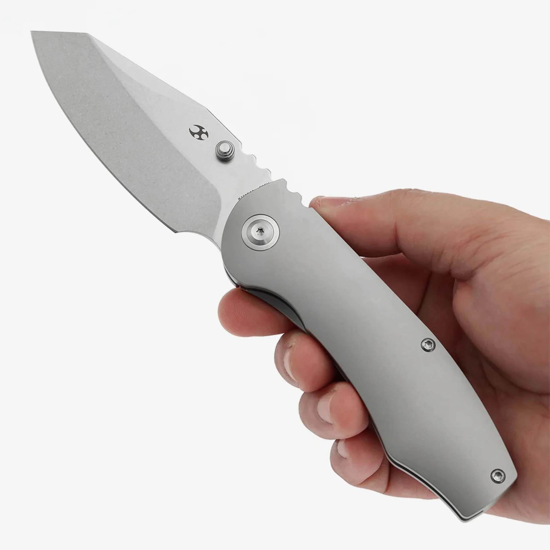 kansept caveman in hand