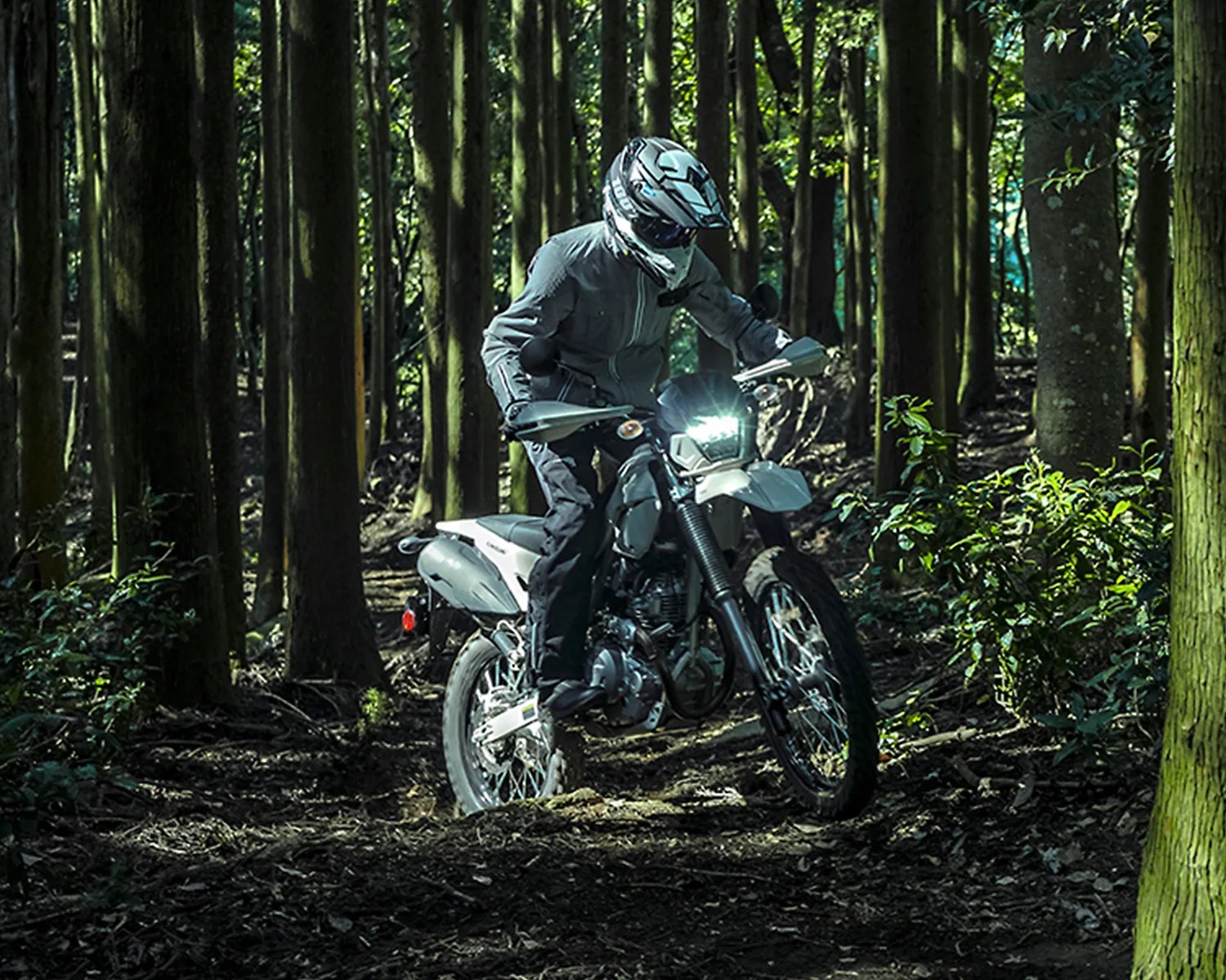 kawasaki KLX230 Sherpa S ABS backwoods action