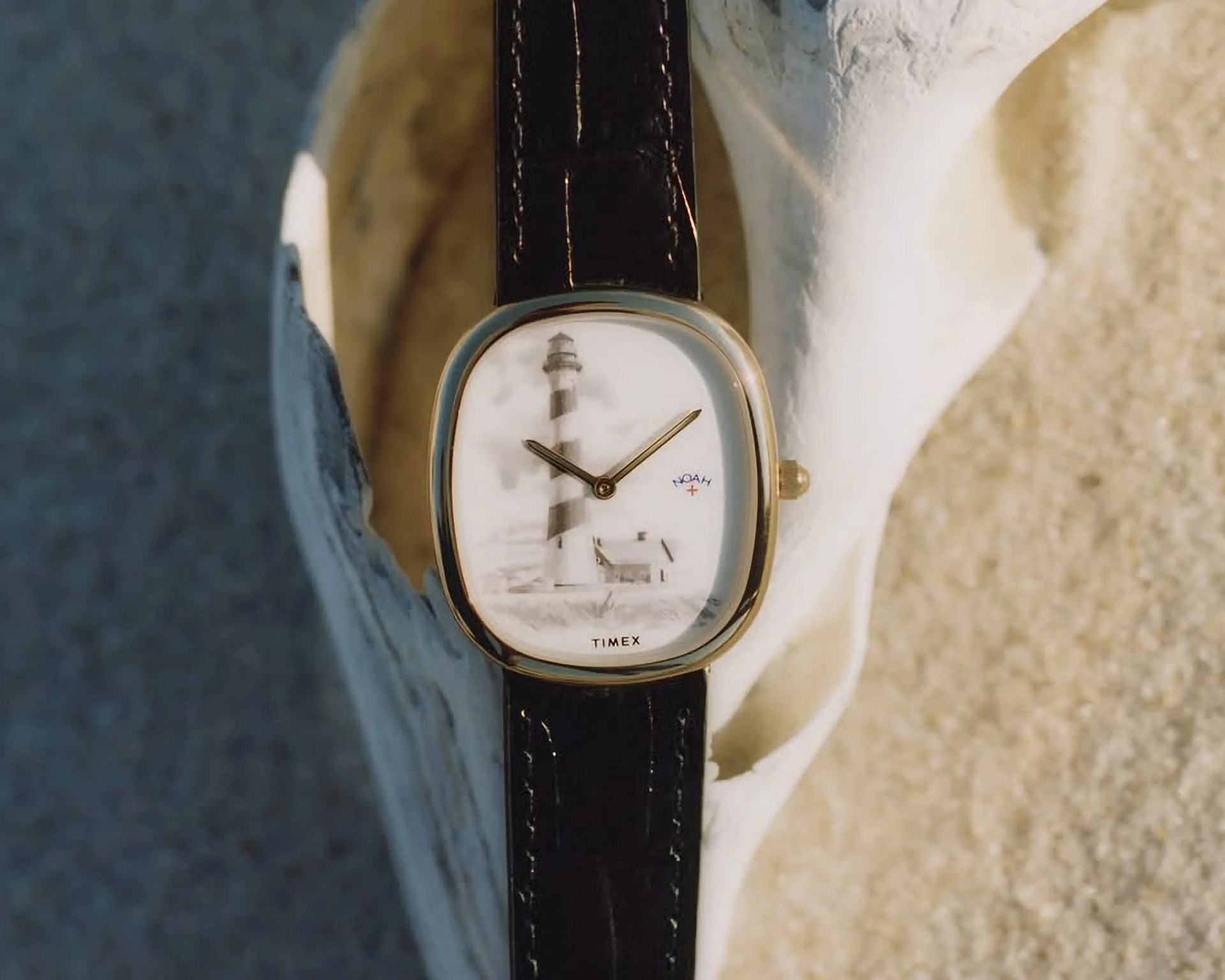 Timex x Noah Lighthouse Watch