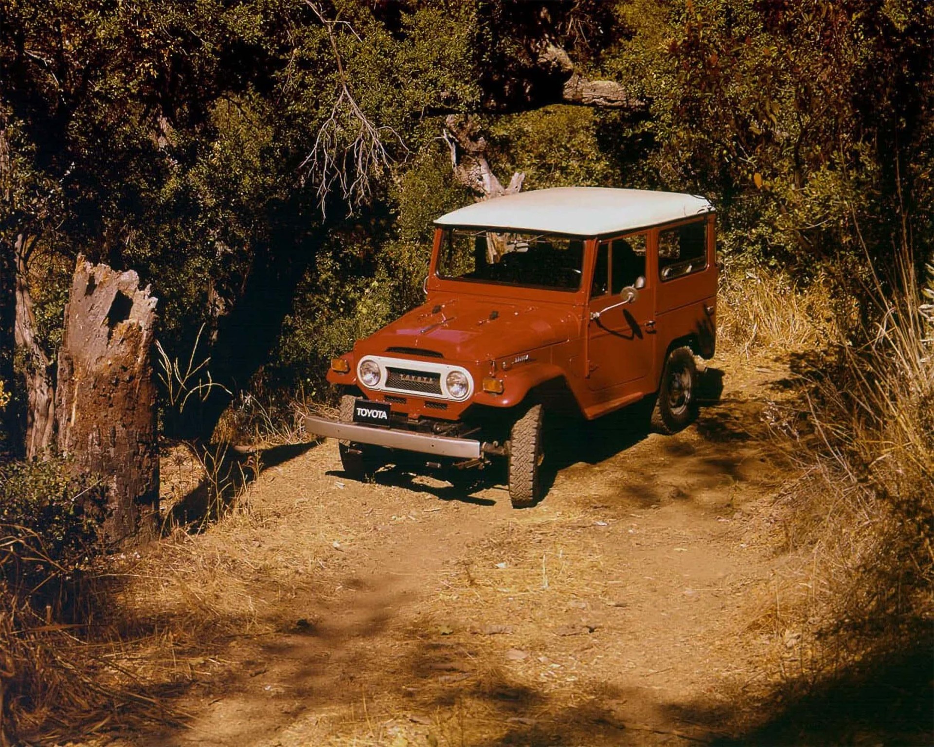 vintage Toyota Land Cruiser