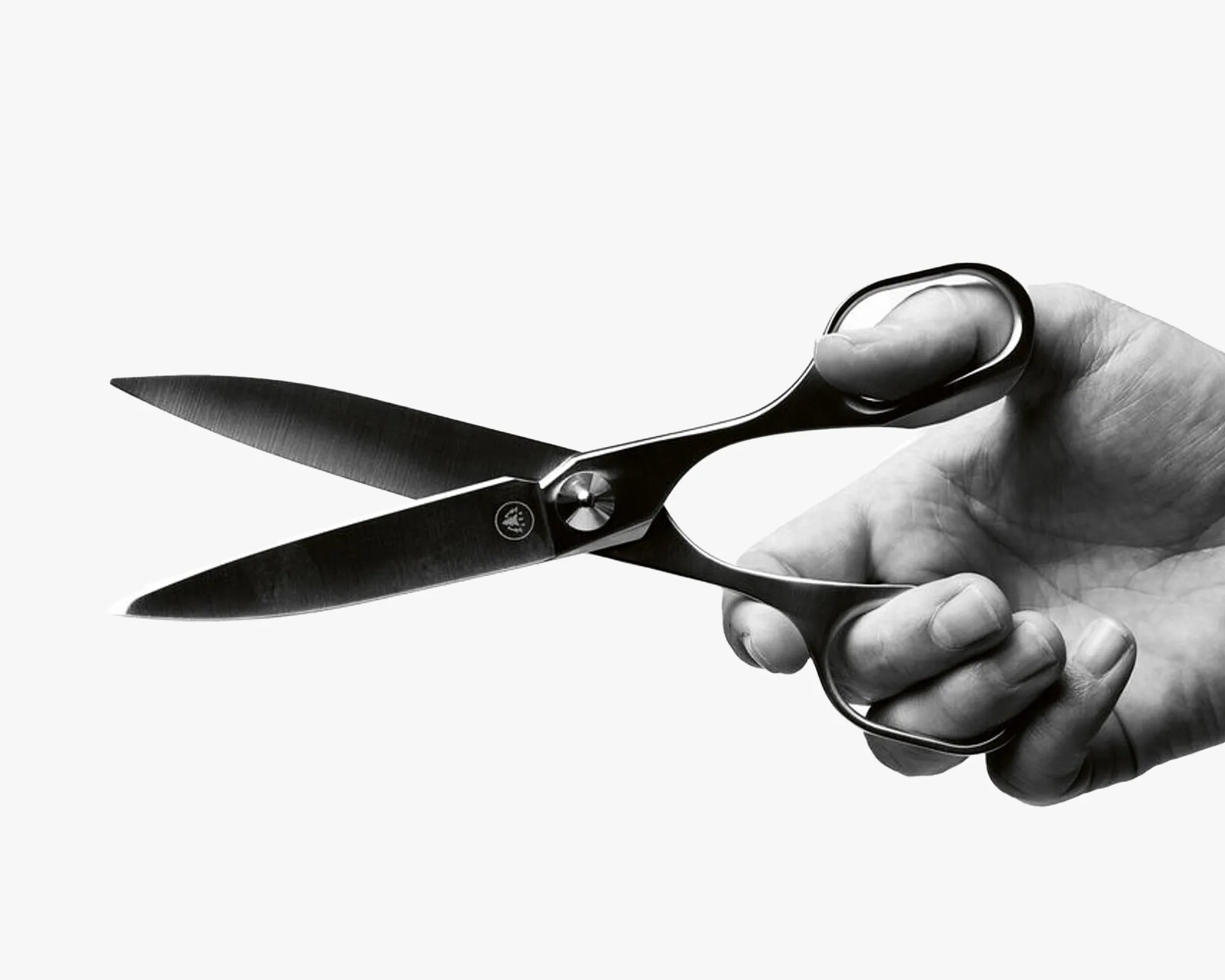 Horl Scissors in hand