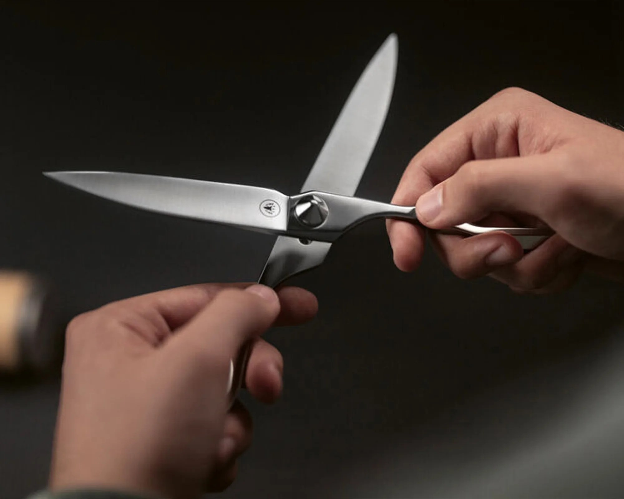 Horl Scissors coming apart