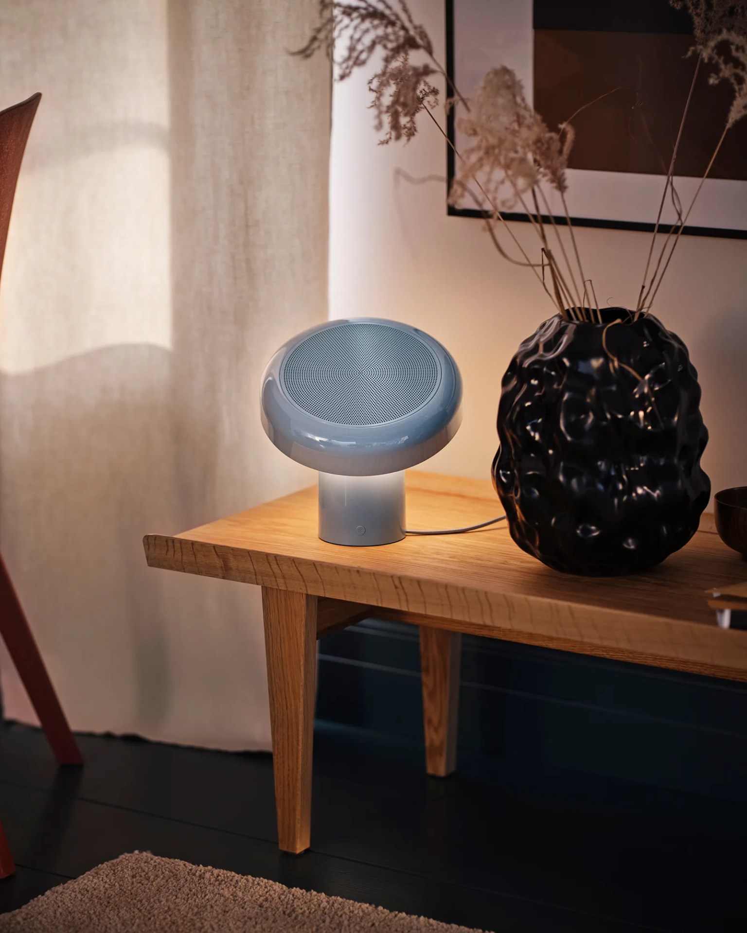 Ikea Blomprakt speaker