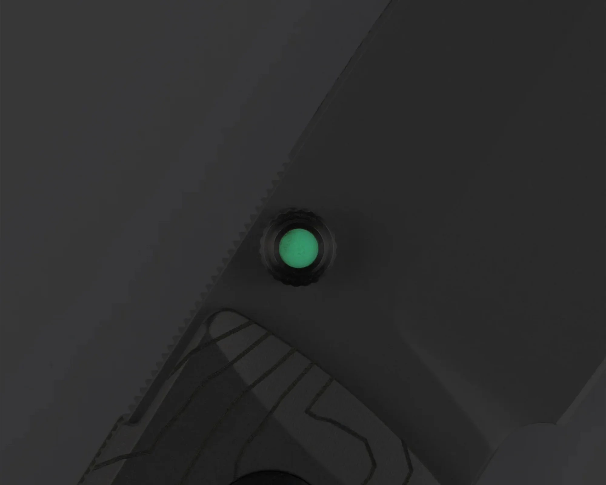Prometheus Design Werx x Watches of Espionage Birdwatcher thumb stud lume