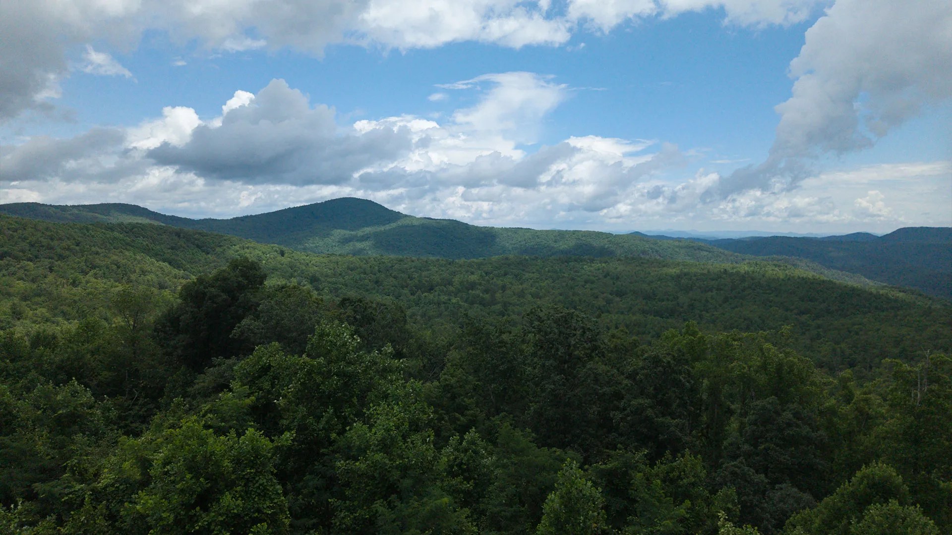 western North Carolina green forest with mountains and sky