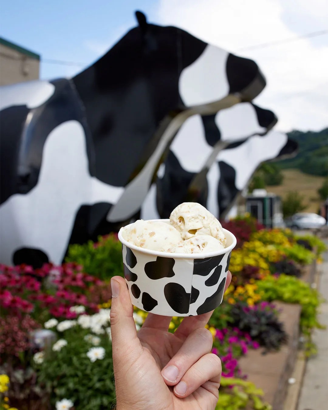 ice cream at ashe county cheese