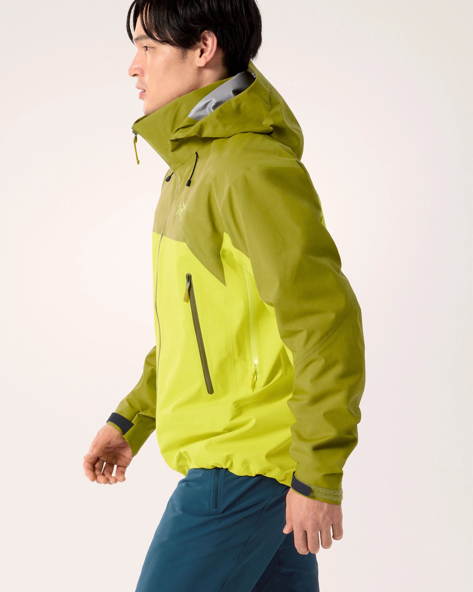 Arc'teryx Beta AR jacket