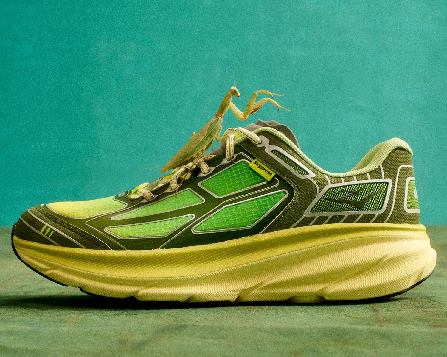 hoka x supervsn clifton one9 mantis full