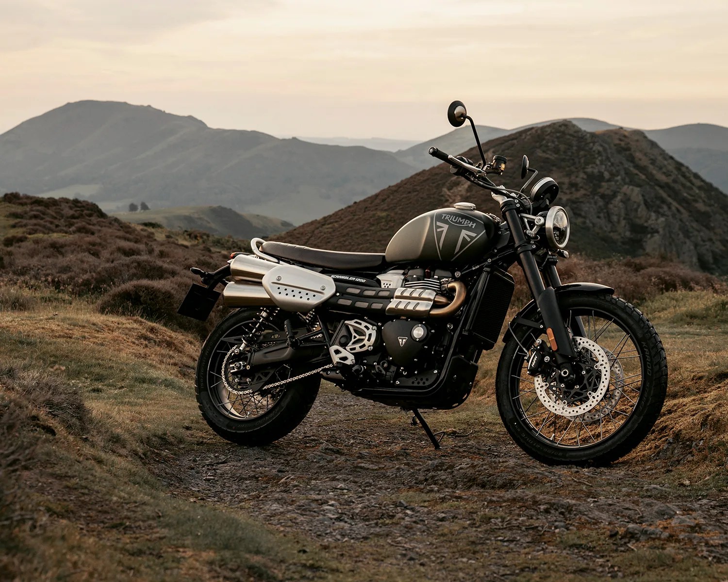 triumph scrambler 1200 x matte khaki green beauty