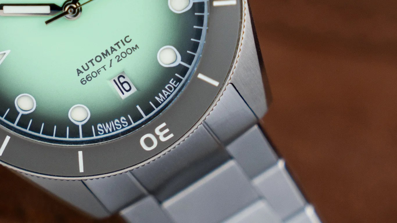 a closeup of a wren dive watch