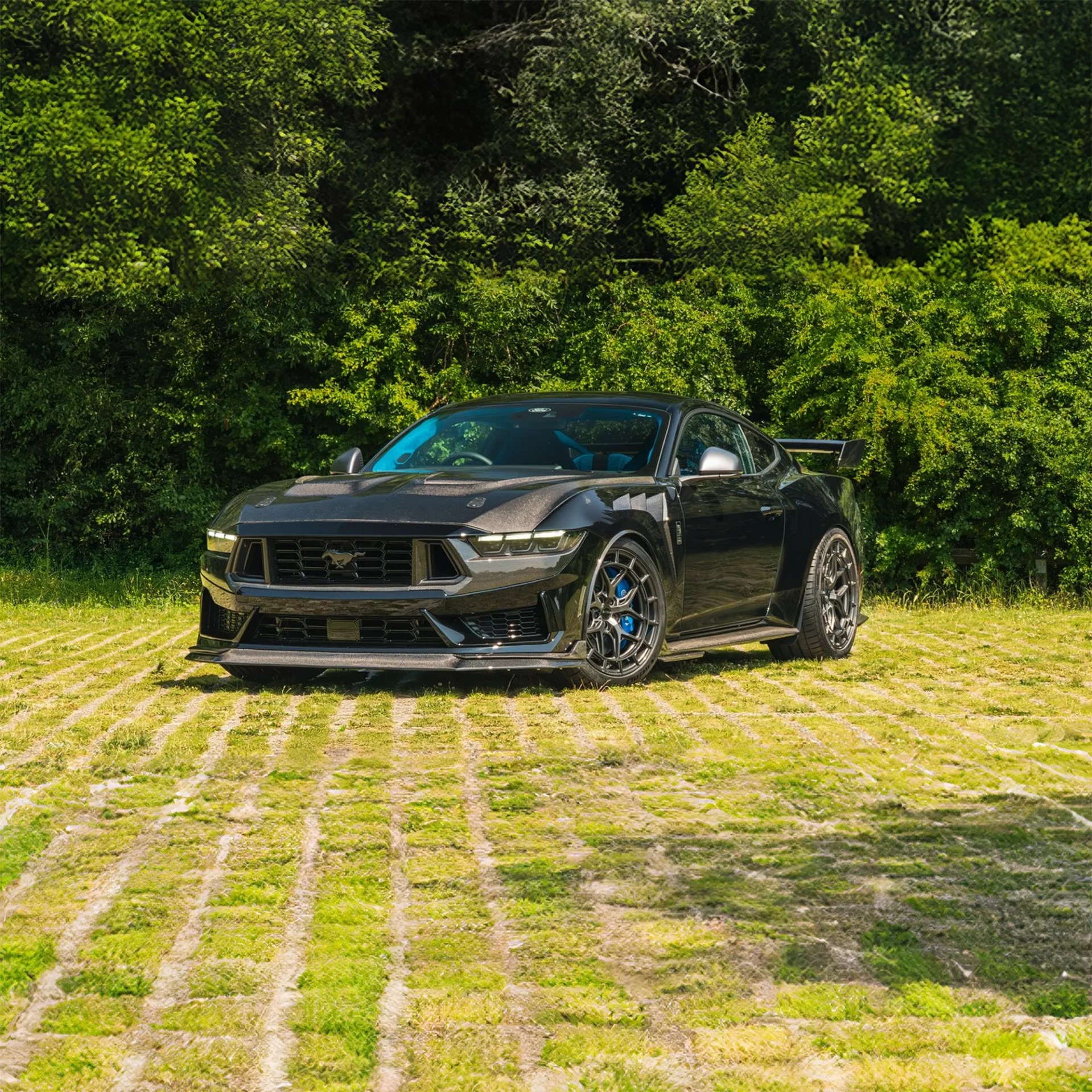 a photo of a modified ford mustang on grass and in front of green hedges